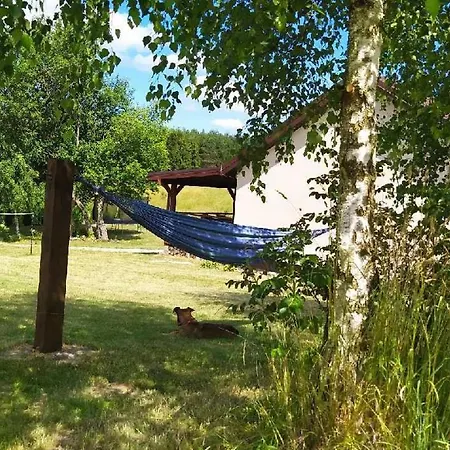 Dom Przy Lesie Prázdninový dům