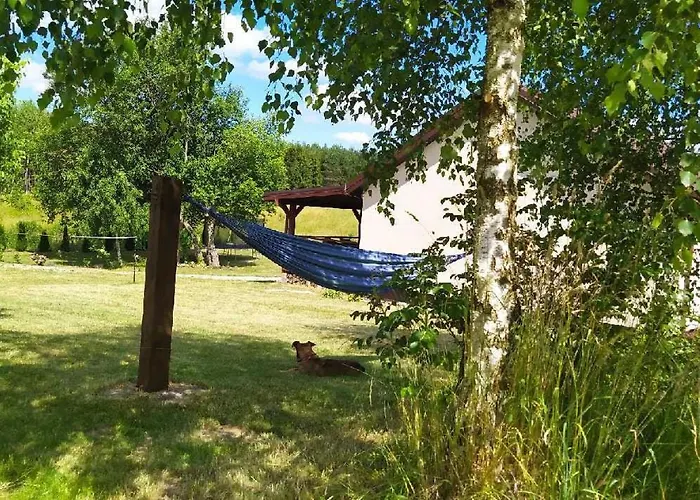 Dom Przy Lesie Dom wakacyjny